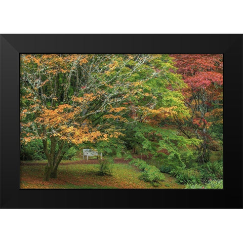 Garden Path Black Modern Wood Framed Art Print by Mahan, Kathy