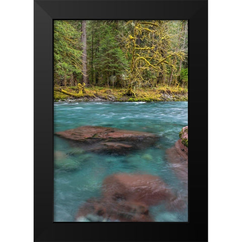 NF Skokomish River III Black Modern Wood Framed Art Print by Mahan, Kathy