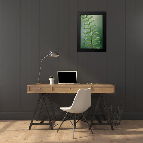 Sword Fern in Spring I Black Modern Wood Framed Art Print by Mahan, Kathy