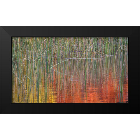 Fall Reflections I Black Modern Wood Framed Art Print by Mahan, Kathy