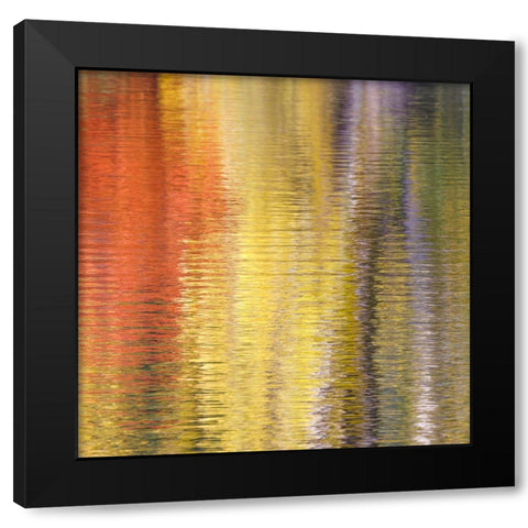 Fall Reflections IV Black Modern Wood Framed Art Print with Double Matting by Mahan, Kathy