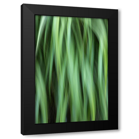 Grass Abstract Black Modern Wood Framed Art Print with Double Matting by Mahan, Kathy