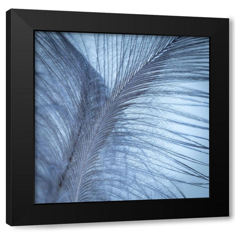 Downy Feather I Black Modern Wood Framed Art Print by Mahan, Kathy