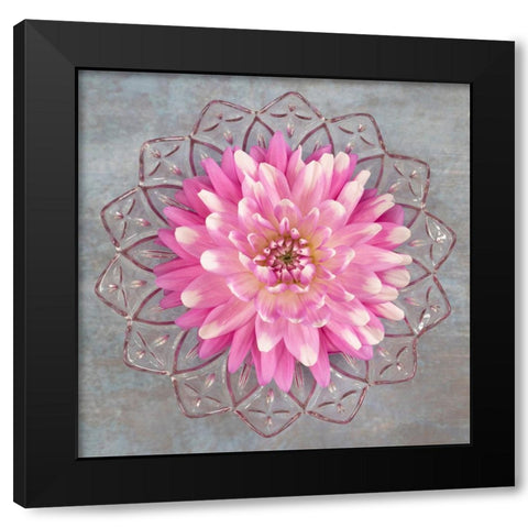 Pink Dahlia Black Modern Wood Framed Art Print with Double Matting by Mahan, Kathy