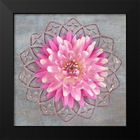 Pink Dahlia Black Modern Wood Framed Art Print by Mahan, Kathy