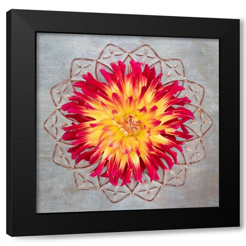 Red And Yellow Dahlia Black Modern Wood Framed Art Print by Mahan, Kathy