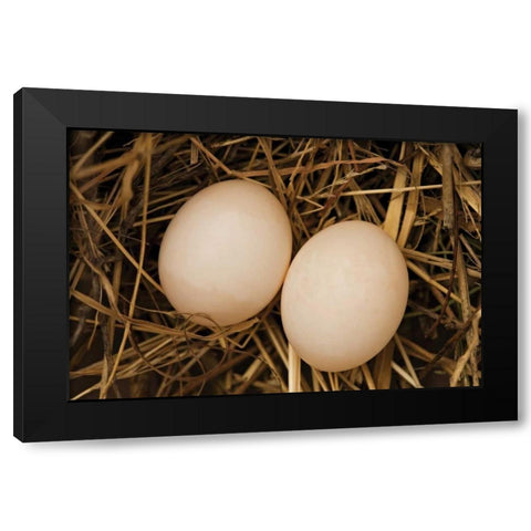 Eggs I Black Modern Wood Framed Art Print by Millet, Karyn