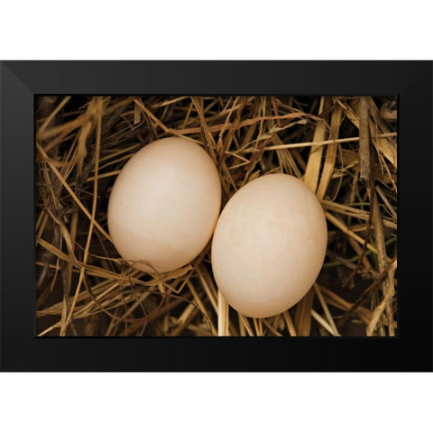 Eggs I Black Modern Wood Framed Art Print by Millet, Karyn
