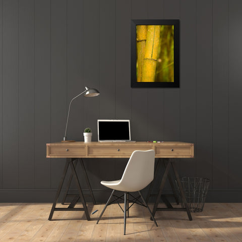 Bamboo I Black Modern Wood Framed Art Print by Millet, Karyn