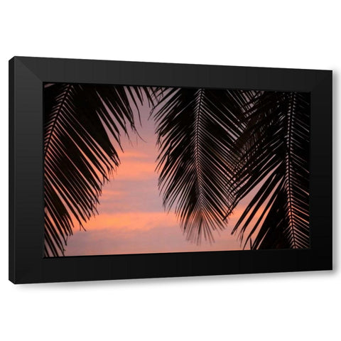 Palms at Sunset Black Modern Wood Framed Art Print with Double Matting by Millet, Karyn