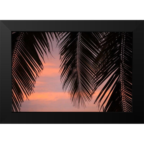 Palms at Sunset Black Modern Wood Framed Art Print by Millet, Karyn