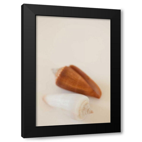 Shell by Shell I Black Modern Wood Framed Art Print by Millet, Karyn