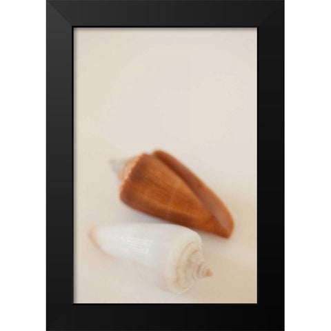 Shell by Shell I Black Modern Wood Framed Art Print by Millet, Karyn
