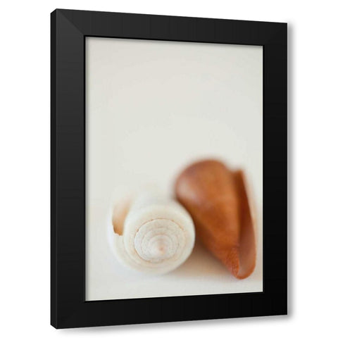 Shell by Shell II Black Modern Wood Framed Art Print with Double Matting by Millet, Karyn