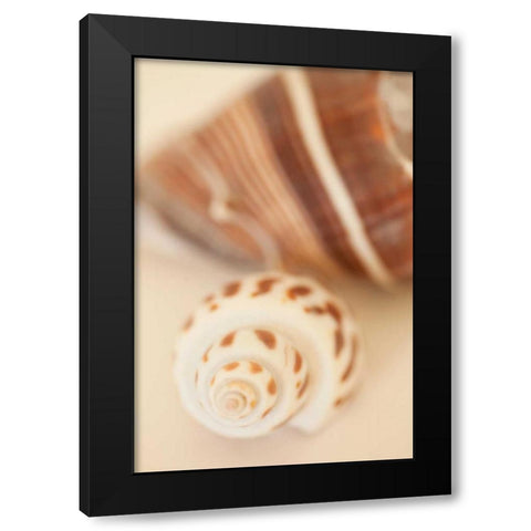 Shell by Shell III Black Modern Wood Framed Art Print by Millet, Karyn