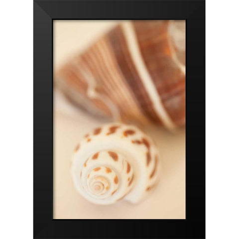 Shell by Shell III Black Modern Wood Framed Art Print by Millet, Karyn