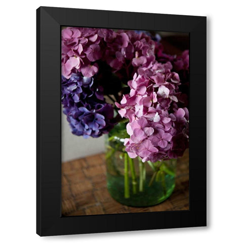 Hydrangeas VI Black Modern Wood Framed Art Print with Double Matting by Millet, Karyn