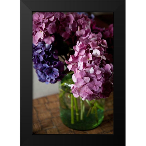 Hydrangeas VI Black Modern Wood Framed Art Print by Millet, Karyn