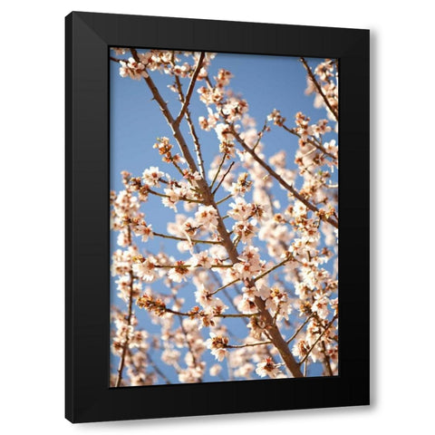 In Bloom VII Black Modern Wood Framed Art Print by Millet, Karyn