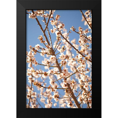 In Bloom VII Black Modern Wood Framed Art Print by Millet, Karyn