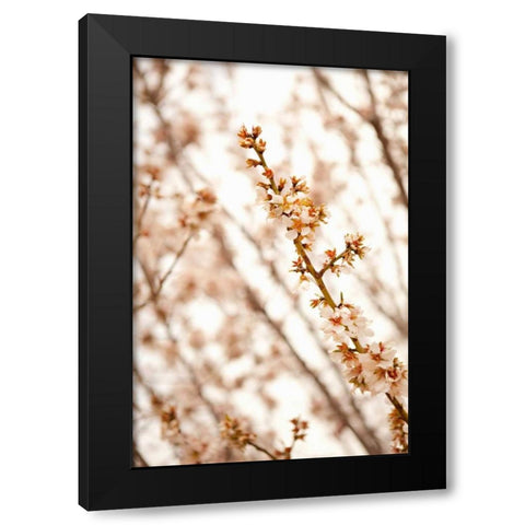 In Bloom XIV Black Modern Wood Framed Art Print by Millet, Karyn