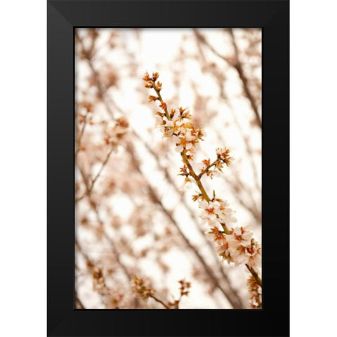 In Bloom XIV Black Modern Wood Framed Art Print by Millet, Karyn