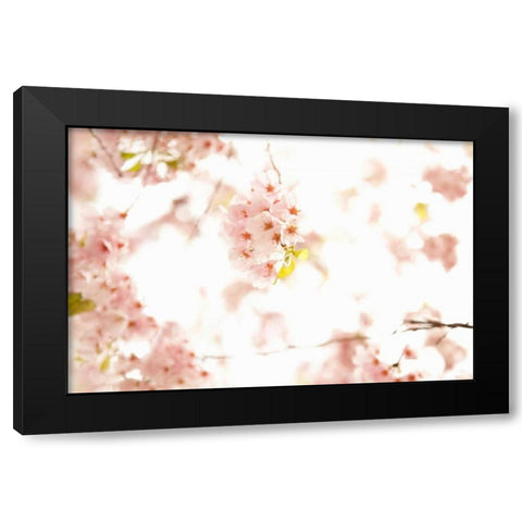 In Bloom XVII Black Modern Wood Framed Art Print by Millet, Karyn