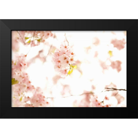 In Bloom XVII Black Modern Wood Framed Art Print by Millet, Karyn