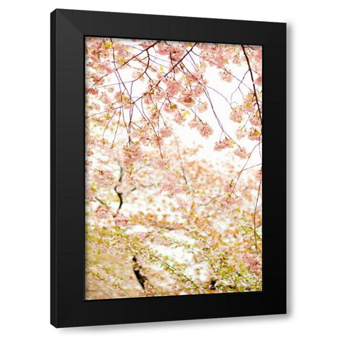 In Bloom XVIII Black Modern Wood Framed Art Print by Millet, Karyn