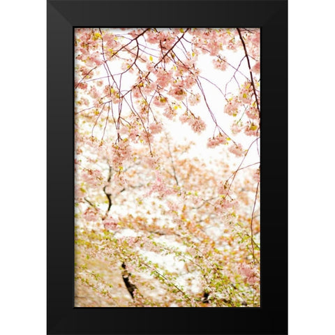 In Bloom XVIII Black Modern Wood Framed Art Print by Millet, Karyn