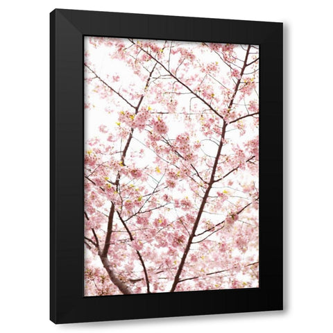 In Bloom XX Black Modern Wood Framed Art Print by Millet, Karyn