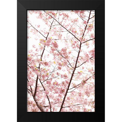 In Bloom XX Black Modern Wood Framed Art Print by Millet, Karyn