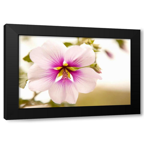 Macro Bloom I Black Modern Wood Framed Art Print by Millet, Karyn