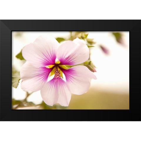 Macro Bloom I Black Modern Wood Framed Art Print by Millet, Karyn