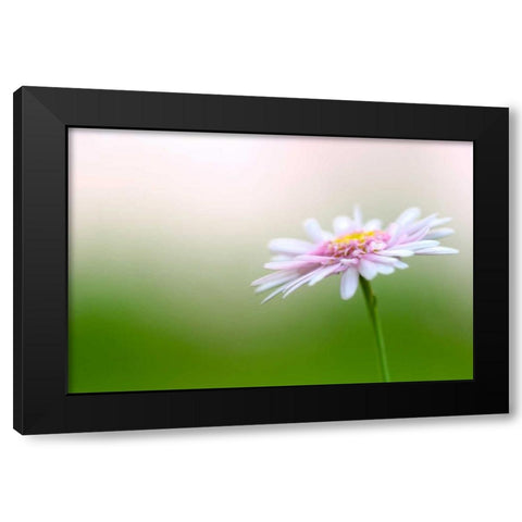 Macro Bloom III Black Modern Wood Framed Art Print by Millet, Karyn