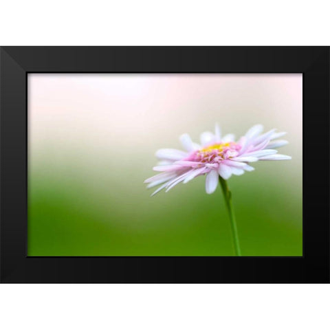 Macro Bloom III Black Modern Wood Framed Art Print by Millet, Karyn