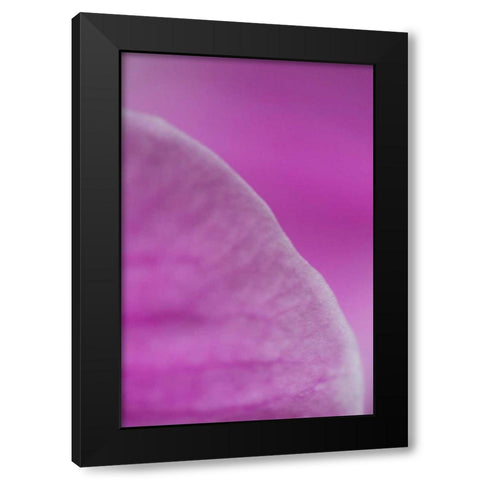 Purple I Black Modern Wood Framed Art Print with Double Matting by Millet, Karyn