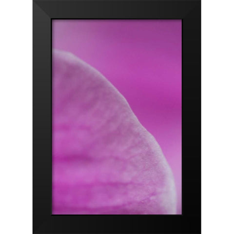 Purple I Black Modern Wood Framed Art Print by Millet, Karyn