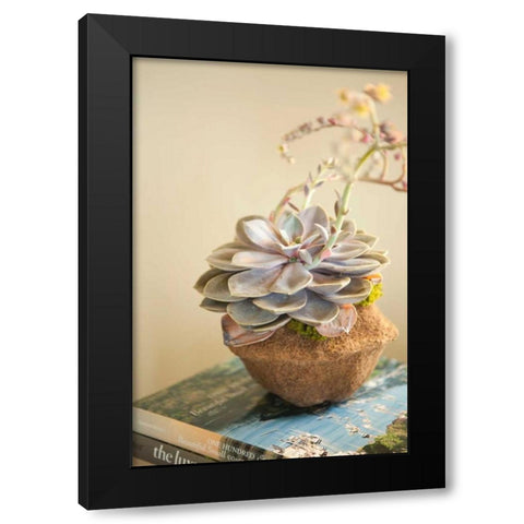 Small Succulent Black Modern Wood Framed Art Print by Millet, Karyn