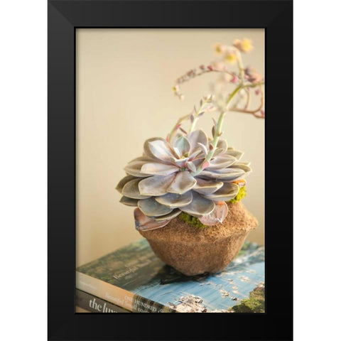 Small Succulent Black Modern Wood Framed Art Print by Millet, Karyn