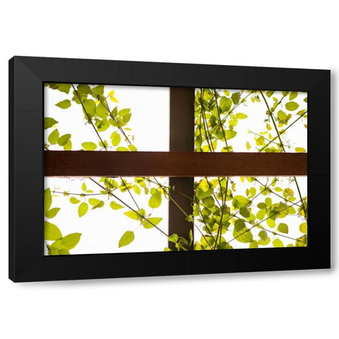 Branches and Lattice Black Modern Wood Framed Art Print by Millet, Karyn