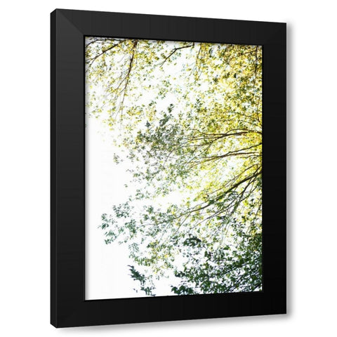 Trees II Black Modern Wood Framed Art Print by Millet, Karyn