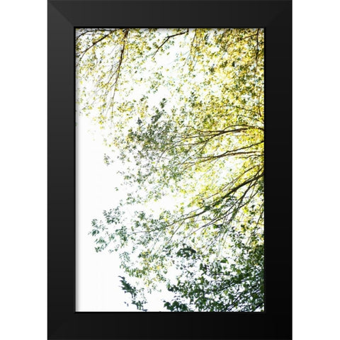 Trees II Black Modern Wood Framed Art Print by Millet, Karyn