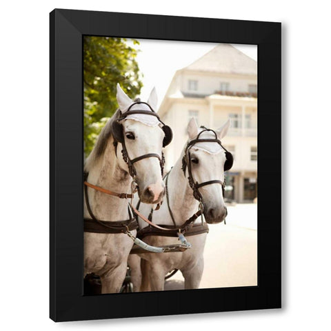 Bridled Horses Black Modern Wood Framed Art Print with Double Matting by Millet, Karyn