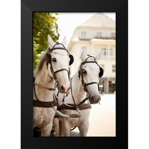 Bridled Horses Black Modern Wood Framed Art Print by Millet, Karyn