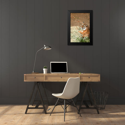 Tiger I Black Modern Wood Framed Art Print by Millet, Karyn