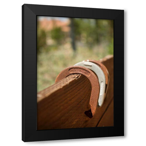 Horse Shoes Black Modern Wood Framed Art Print with Double Matting by Millet, Karyn