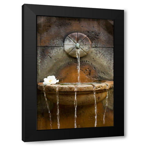 Fountain I Black Modern Wood Framed Art Print by Millet, Karyn
