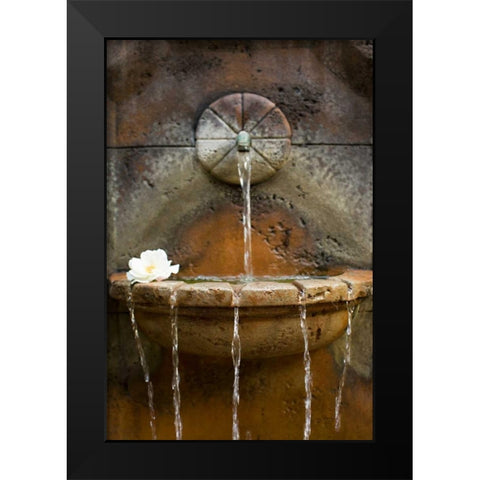 Fountain I Black Modern Wood Framed Art Print by Millet, Karyn