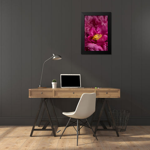 Fuchsia Peonies I Black Modern Wood Framed Art Print by Millet, Karyn